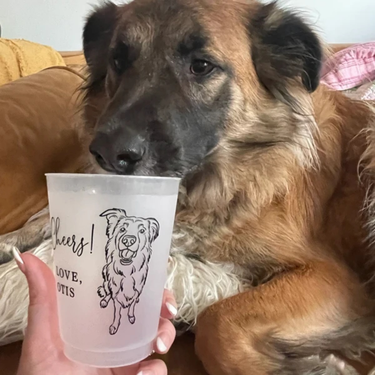 Персонализированные стаканы дл – обзор и цена Plastic Cup 50Pcs